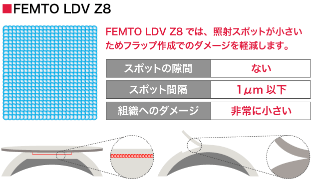femto FEMTO LDV Z8